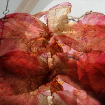 Sjätte sinnet 6 konstnärer 6 kyrkor 