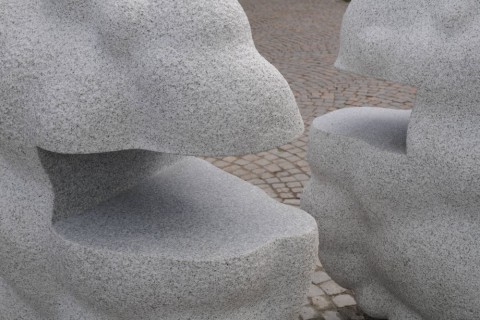 Bokmoln, Karlstad 2015