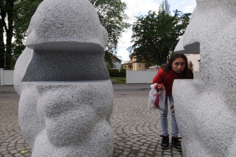 Bokmoln, Karlstad 2015
