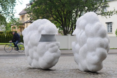 Bokmoln, Karlstad 2015