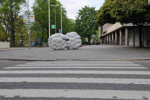 Bokmoln, Karlstad 2015