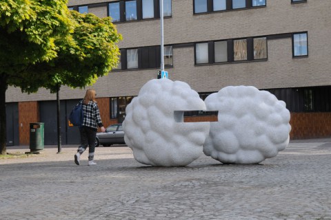 Bokmoln, Karlstad 2015