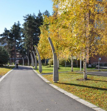 Bullermyren bostadsområde