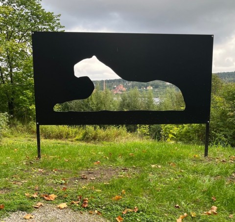 Lejon i landskap
