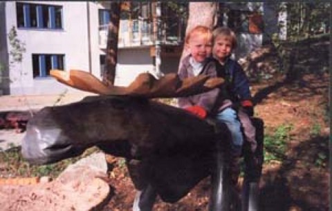 Lekplats Skalbagge, Älg