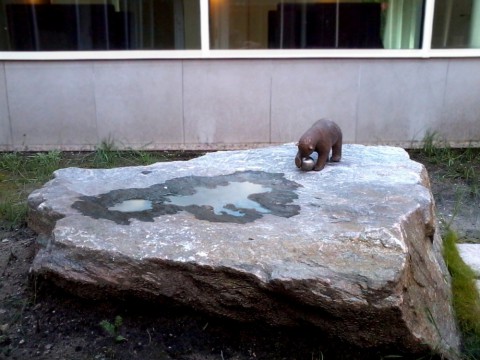 Liten Björn med Boll