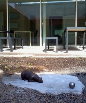 Liten Björn med Boll